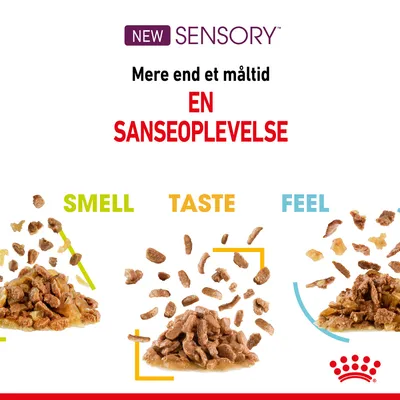 NEW SENSORY. Mere end et måltid EN SANSEOPLEVELSE. Tre portioner vådfoder med teksten SMELL, TASTE, FEEL. Royal Canin krone nederst til højre.