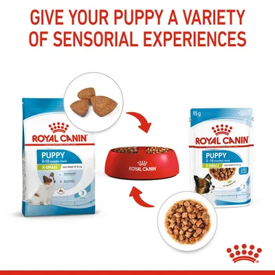 Image showing dry and wet puppy food for 2-10 months, X-Small size, with arrows indicating both types can be served in a bowl to provide varied sensorial experiences.
