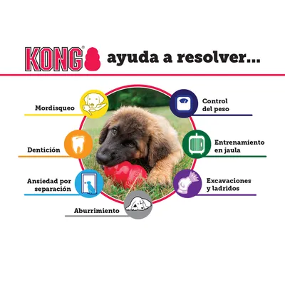 KONG ayuda a resolver: mordisqueo, dentición, ansiedad por separación, aburrimiento, control del peso, entrenamiento en jaula, excavaciones y ladridos. Imagen de perro con juguete KONG rojo.
