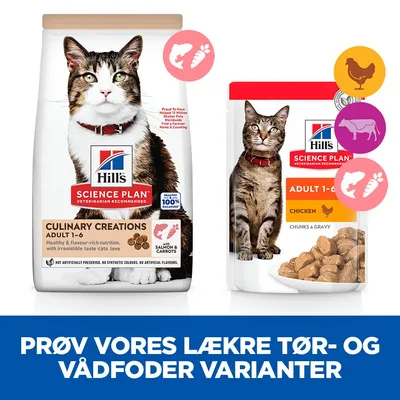 Hill's Science Plan Culinary Creations Adult 1-6 tørfoder med laks og gulerødder samt Adult 1-6 vådfoder med kylling. Tekst: Prøv vores lækre tør- og vådfoder varianter.