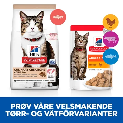 Hill's Science Plan Adult Culinary Creations laks og gulrot