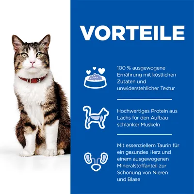 Voordelen: 100% uitgebalanceerde voeding met smakelijke ingrediënten, hoogwaardige eiwitten uit zalm voor slanke spieren, essentieel taurine voor hartgezondheid en nierbescherming.