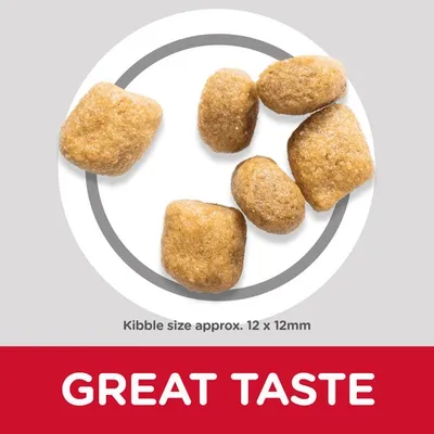 Kibble pieces shown with approximate size 12 by 12 millimetres. Text states: great taste.