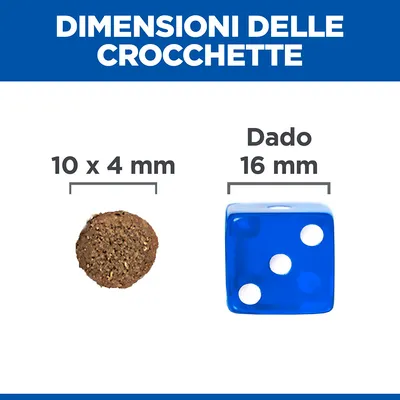 Dimensioni delle crocchette: 10 x 4 mm accanto a un dado blu da 16 mm per confronto visivo. Testo: 'DIMENSIONI DELLE CROCHETTE', 'Dado 16 mm'.
