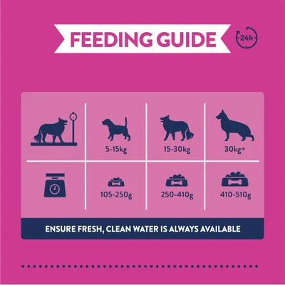 Feeding guide showing daily food amounts: 5-15kg, 105-250g; 15-30kg, 250-410g; 30kg+, 410-510g. Ensure fresh, clean water is always available.