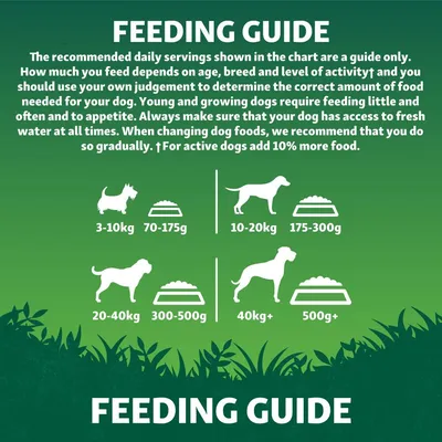 Feeding guide showing daily food amounts: 3-10kg, 70-175g; 10-20kg, 175-300g; 20-40kg, 300-500g; 40kg+, 500g+. Add 10% more for active dogs. Ensure fresh water is always available.