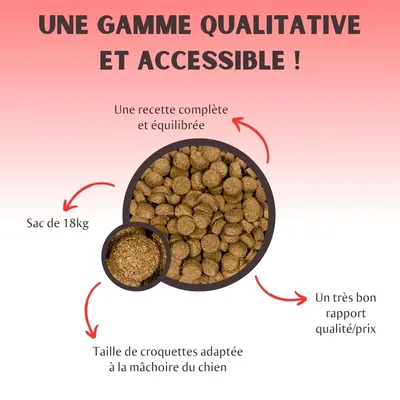 Croquettes pour chien, sac de 18 kg, recette complète et équilibrée, taille adaptée à la mâchoire du chien, très bon rapport qualité/prix. Texte en français.