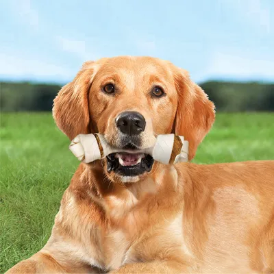 Animal holding a bone-shaped chew in its mouth while lying on grass outdoors, demonstrating use of the chew product.