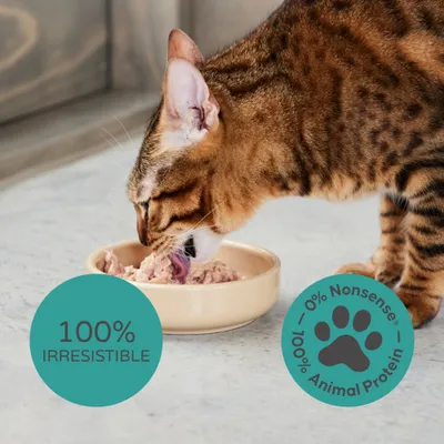 thrive Complete Saver Pack 24 x 75g - cat wet food - Tuna with Shrimp & Squid thrive Complete Saver Pack 24 x 75g - cat wet food - Tuna with Shrimp & Squid