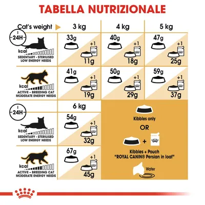 Tabella nutrizionale per gatti: dosi giornaliere di crocchette e umido in base a peso (3–6 kg) e livello di attività. Include opzioni solo crocchette o crocchette più bustina Royal Canin Persian.