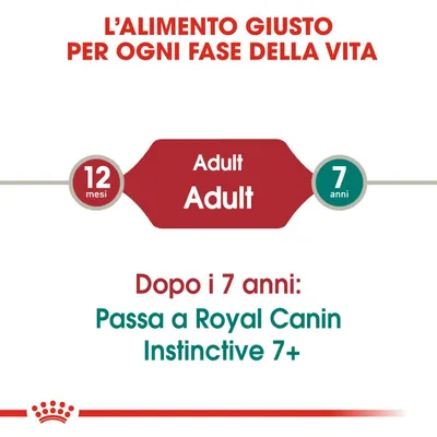 L'alimento giusto per ogni fase della vita. Adult 12 mesi–7 anni. Dopo i 7 anni: Passa a Royal Canin Instinctive 7+.
