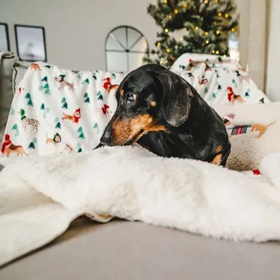 TIAKI Funny Winter Dog възглавница