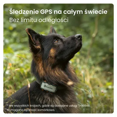 Pies z obrożą GPS tractive. Tekst: Śledzenie GPS na całym świecie, bez limitu odległości. *We wszystkich krajach, gdzie są dostępne usługi Tractive. Wymagana łączność komórkowa.