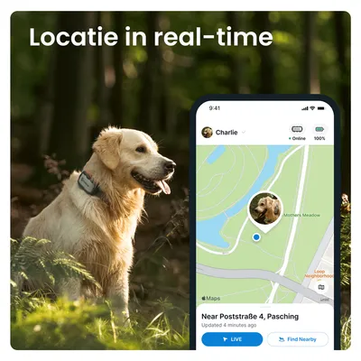Hond met GPS-halsband naast smartphone met app-scherm: locatie in real-time, kaartweergave met profiel 'Charlie', batterijstatus 100%, locatie bij Poststraße 4, Pasching.