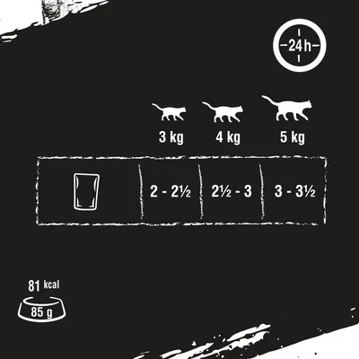 Zalecenia dziennego podania: kot 3 kg – 2–2½ saszetki, 4 kg – 2½–3, 5 kg – 3–3½. Porcja: 85 g, 81 kcal. Piktogramy kotów i szklanki wody.