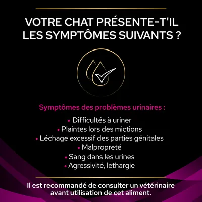 Symptômes urinaires chez le chat : difficultés à uriner, plaintes lors des mictions, léchage excessif, malpropreté, sang dans les urines, agressivité, léthargie. Consultez un vétérinaire.