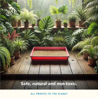 Czerwona kuweta z żwirkiem ustawiona na drewnianej podłodze wśród doniczek z zielonymi roślinami. Widoczny angielski tekst: Safe, natural and non-toxic. All profits to the planet.