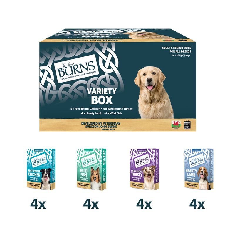 Burns natvoer voor honden 16 x 395 g