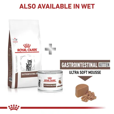Dry and wet Royal Canin Gastrointestinal Kitten food shown, with text stating 'Also available in wet' and 'Gastrointestinal Kitten Ultra Soft Mousse'.