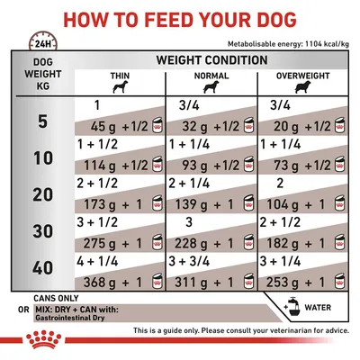 Feeding guide table showing daily food amounts for dogs by weight and condition: thin, normal, overweight. Includes grams and can portions for 5–40kg dogs. Water recommended.