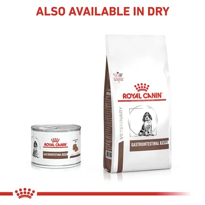 Gastrointestinal Puppy food shown in both wet and dry forms, with text stating also available in dry.