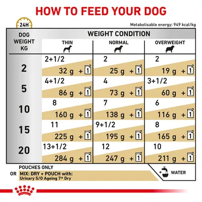 Feeding guide for dogs by weight (2–20 kg) and condition: thin, normal, overweight. Shows daily grams of dry food plus pouches. Includes note to add water and mix with Urinary S/O Ageing 7+ Dry.