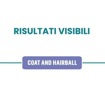 Risultati visibili. Coat and hairball. Testo in parte in inglese.