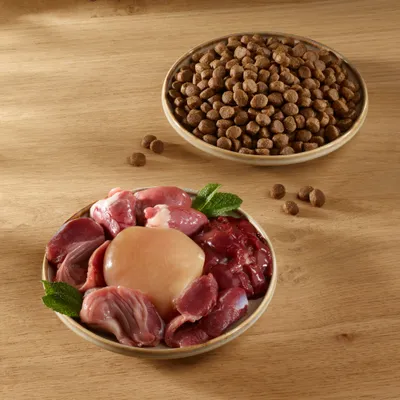 Wild Freedom Adult "Wild Hills" mit Ente - getreidefreie Rezeptur