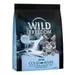 Wild Freedom Kitten "Cold River" Lachs - getreidefreie Rezeptur