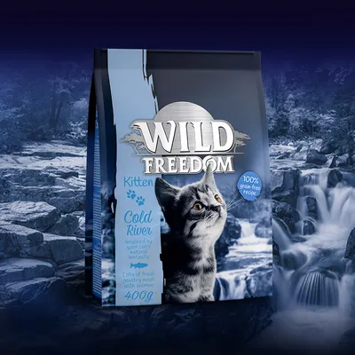 Συσκευασία Wild Freedom Kitten Cold River, 100% grain-free recipe, lots of fresh poultry meat with salmon, 400g. Εμφανίζεται γατάκι και μπλε φόντο με ποτάμι.