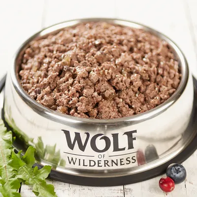 Wolf of Wilderness vådfoder i en skål af rustfrit stål, omgivet af friske ingredienser som blåbær, tranebær og mælkebøtteblade.