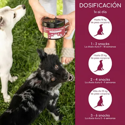 Wolfsbacher Natur Estómago e intestinos snacks para perros