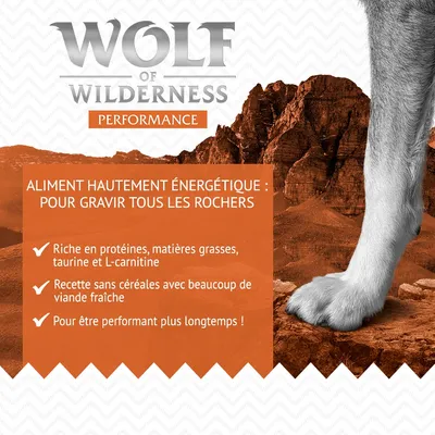 Wolf of Wilderness Performance. Aliment hautement énergétique : riche en protéines, matières grasses, taurine, L-carnitine, sans céréales, beaucoup de viande fraîche, pour être performant plus longtemps.