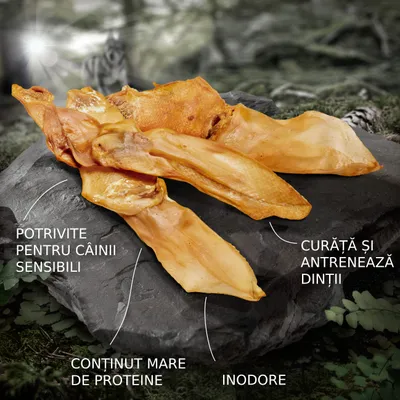 Urechi uscate pentru câini pe o piatră, cu text: potrivite pentru câinii sensibili, conținut mare de proteine, inodore, curăță și antrenează dinții.
