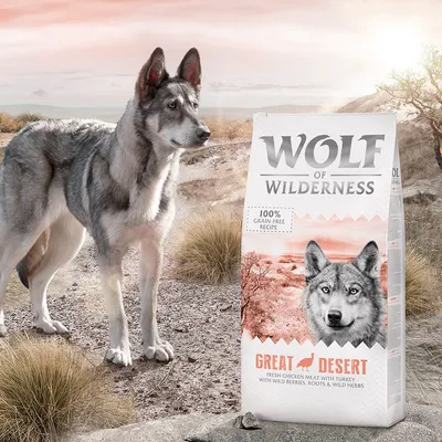 Wolf of Wilderness Great Desert, ricetta 100% grain-free, carne di pollo fresco con tacchino, frutti di bosco selvatiche, radici ed erbe aromatiche. Sacco di crocchette per cani.