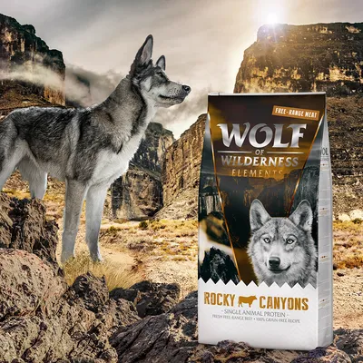 Wolf of Wilderness Elements Rocky Canyons, Single Animal Protein, Free-Range Meat, 100% Grain-Free Recipe.