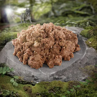 Nahaufnahme von braunem Nassfutter auf einem Stein, umgeben von Waldlandschaft mit Moos und Pflanzen. Im Hintergrund ein Wolf sichtbar.