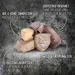 Wolf of Wilderness Adventskalender - gefriergetrocknete RAW Snacks