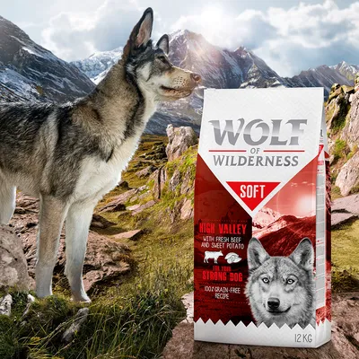 Wolf of Wilderness Soft High Valley koiranruokapakkaus, 12 kg. Teksti: with fresh beef and sweet potato, for your strong dog, 100% grain-free recipe.