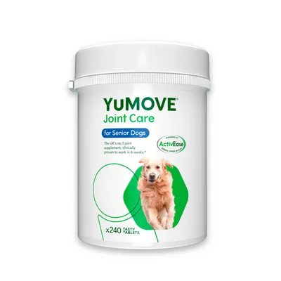 YuMOVE Joint Care für ältere Hunde, 240 schmackhafte Tabletten. Klinisch bewiesen, Wirkung in 6 Wochen. Powered by ActivEase Grünlippmuschel.