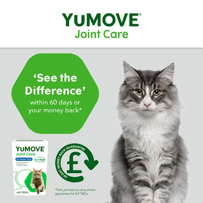 'See the Difference' within 60 days or your money back. YuMOVE Joint Care for Senior Cats, 60 day money back guarantee.