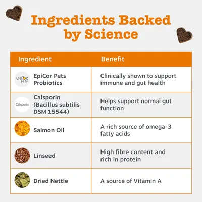Sestavine: EpiCor Pets Probiotiki, Calsporin (Bacillus subtilis DSM 15544), lososovo olje, lanena semena, posušena kopriva. Prednosti: imunski sistem, zdravje prebavil, omega-3, vlaknine, vitamin A. Sestavine: EpiCor Pets Probiotiki, Calsporin (Bacillus subtilis DSM 15544), lososovo olje, lanena semena, posušena kopriva. Prednosti: imunski sistem, zdravje prebavil, omega-3, vlaknine, vitamin A.