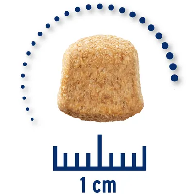 Foderpille vist med størrelsesangivelse, måler cirka 1 cm ifølge skala under pillen.