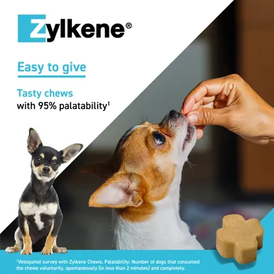 Zylkene Calming Chews for Small Dogs <10kg - 14 Chews Zylkene Calming Chews for Small Dogs <10kg - 14 Chews