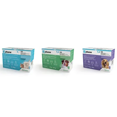Trois boîtes Zylkene 100 mg : bleu S 10 kg avec chien et chat, vert 10–30 kg avec chien, violet 15–60 kg avec chien. Marques et poids visibles sur chaque emballage.