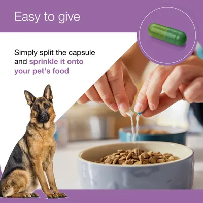 Zylkene Plus Calming Supplement 450mg for Large Dogs 15 - 60 kg - 30 Capsules Zylkene Plus Calming Supplement 450mg for Large Dogs 15 - 60 kg - 30 Capsules
