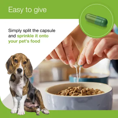 Zylkene Plus Calming Supplement 225mg for Medium Dogs 10 - 30 kg - 30 Capsules Zylkene Plus Calming Supplement 225mg for Medium Dogs 10 - 30 kg - 30 Capsules