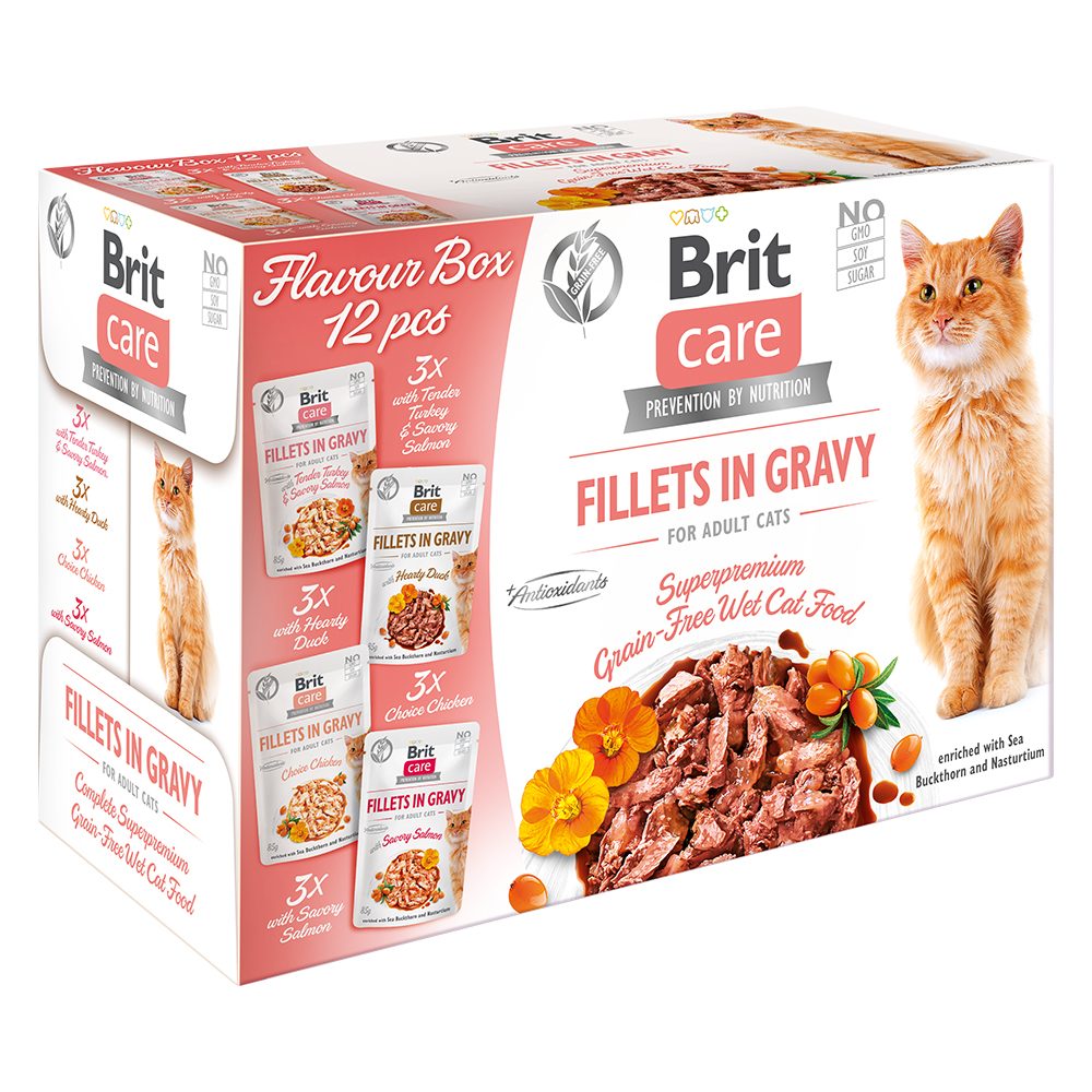 Brit Care Cat Fillets in Gelatina e Salsa Pacco misto 24 x 85 g Umido gatti - 12 x 85 g 4 ricette in Gelatina + 12 x 85 g 4 ricette in Salsa
