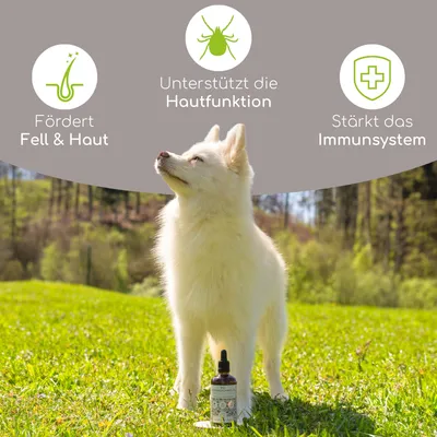 Wolfsbacher Natur Bio-Schwarzkümmelöl - 100 ml