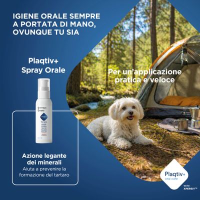 Plaqitv+ Spray orale, 60 ml. L'azione che lega i minerali aiuta a prevenire la formazione del tartaro. Applicazione pratica e veloce anche fuori casa.